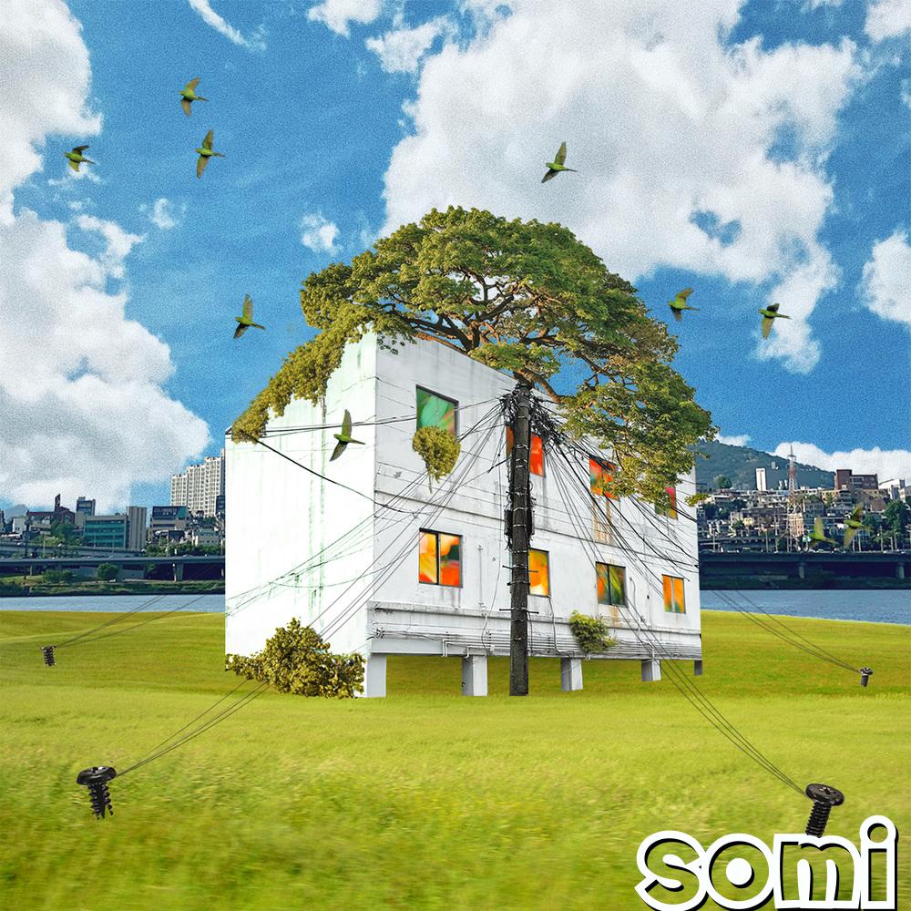 Image Cover